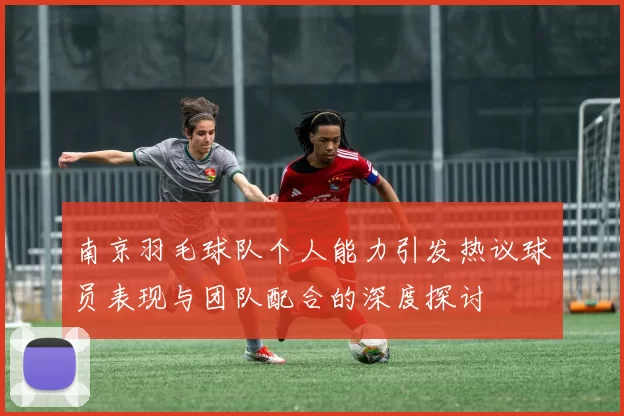 南京羽毛球队个人能力引发热议球员表现与团队配合的深度探讨