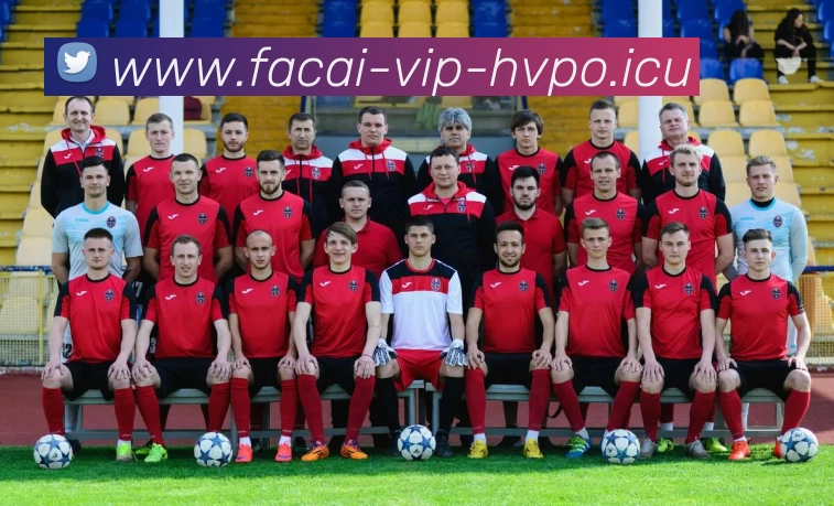 爱游戏体育发展历程