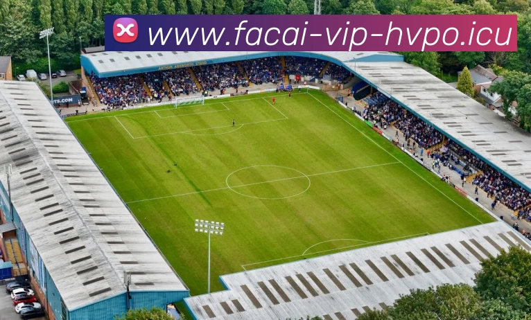 洲际杯积分榜：武汉排球队以81分领跑